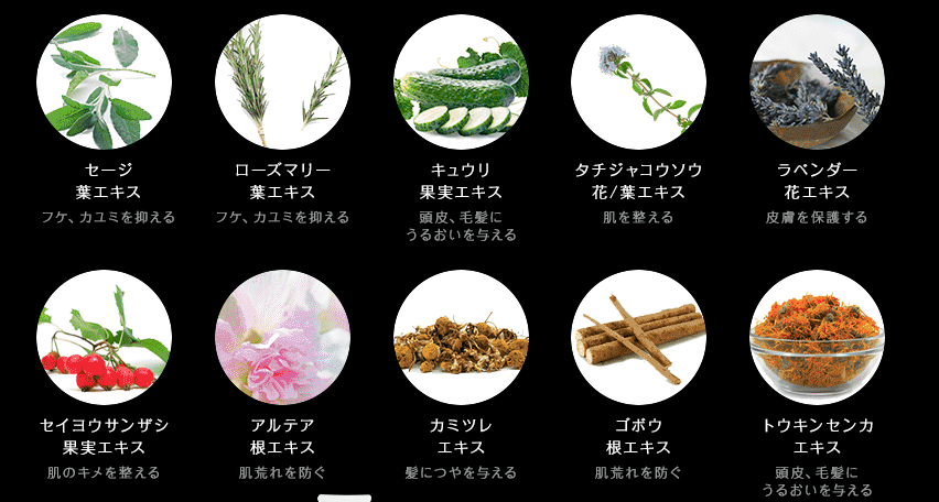 ビオルチアシャンプーのオーガニックエキス成分